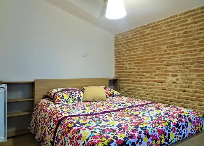 Mon Desir - 2 Ch Doubles Proche Hypercentre Montauban